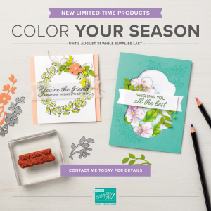 Color Your Season! This bundle covers Spring/Summer, Fall, and Christmas