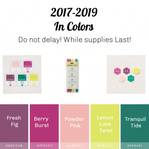 2017-2019 In Colors